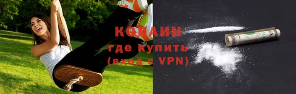 гидра Пересвет