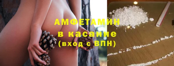 ПСИЛОЦИБИНОВЫЕ ГРИБЫ Строитель