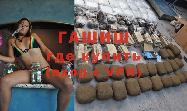 стаф Осинники