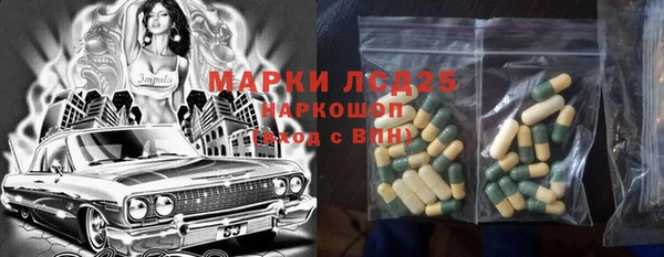 стаф Осинники