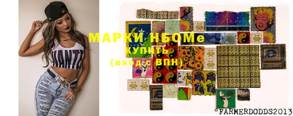 стаф Осинники