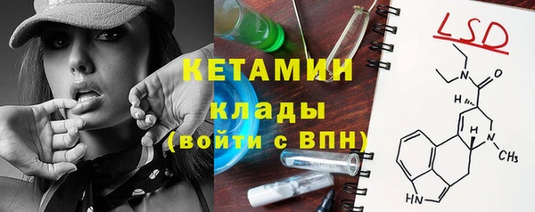стаф Осинники
