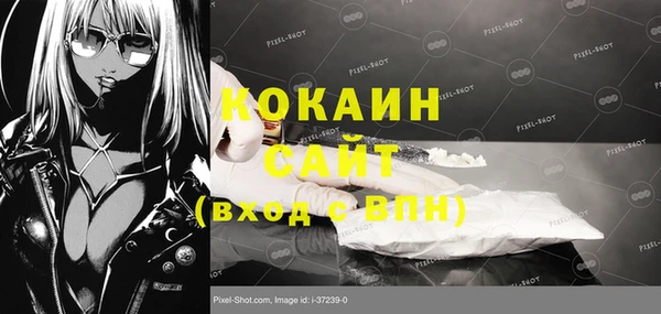 стаф Осинники