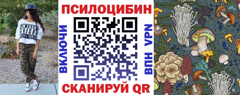 ОМГ ОМГ как войти  Тосно  Галлюциногенные грибы Psilocybine cubensis  магазин  наркотиков 
