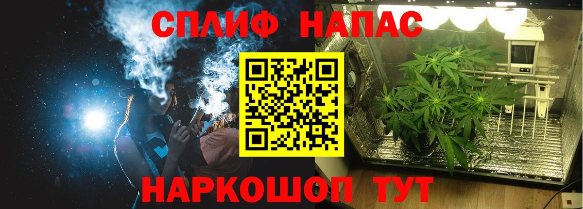 Каннабис конопля Тосно